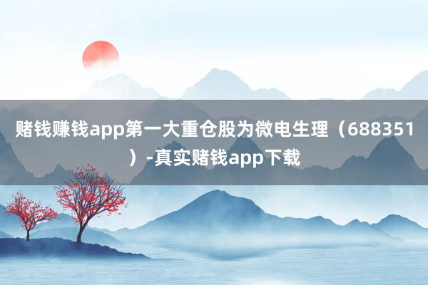 赌钱赚钱app第一大重仓股为微电生理（688351）-真实赌钱app下载