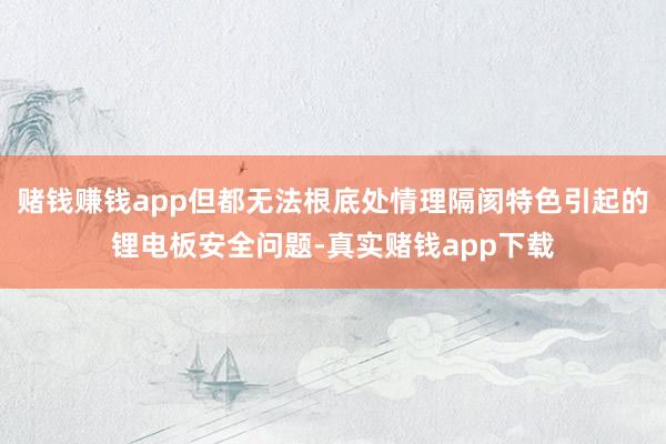 赌钱赚钱app但都无法根底处情理隔阂特色引起的锂电板安全问题-真实赌钱app下载