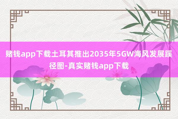 赌钱app下载土耳其推出2035年5GW海风发展蹊径图-真实赌钱app下载