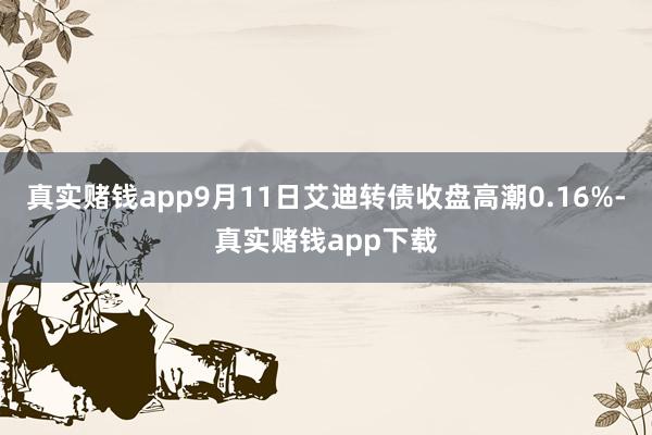 真实赌钱app9月11日艾迪转债收盘高潮0.16%-真实赌钱app下载