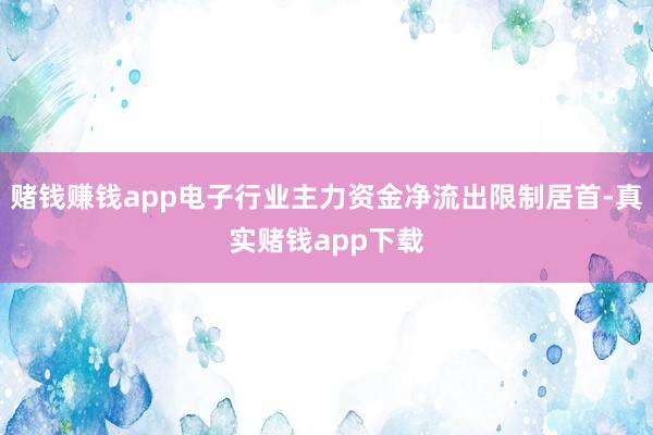 赌钱赚钱app电子行业主力资金净流出限制居首-真实赌钱app下载